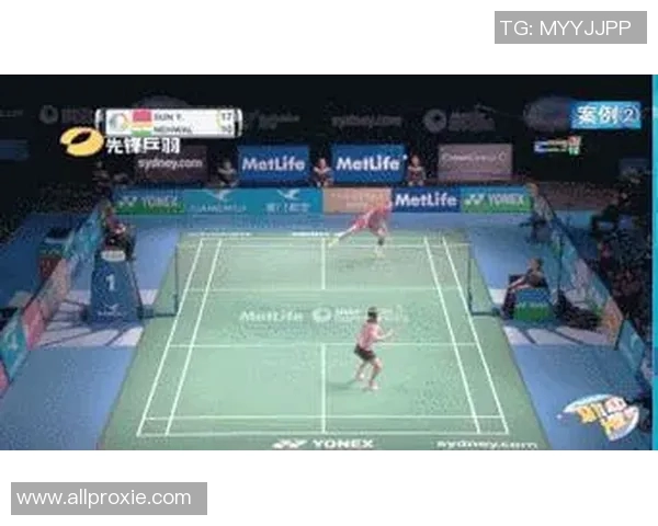 南京羽毛球队整体压制战术解析与实战应用探索