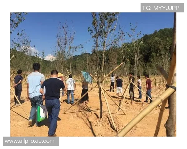 深圳排球队选拔赛表现分析与状态评估探讨