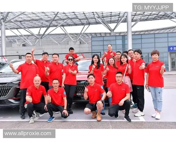 杭州排球队的成长之路精英赛背后的奋斗与荣耀