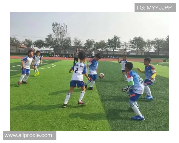 杨浦区足球明星的成长之路与未来发展展望